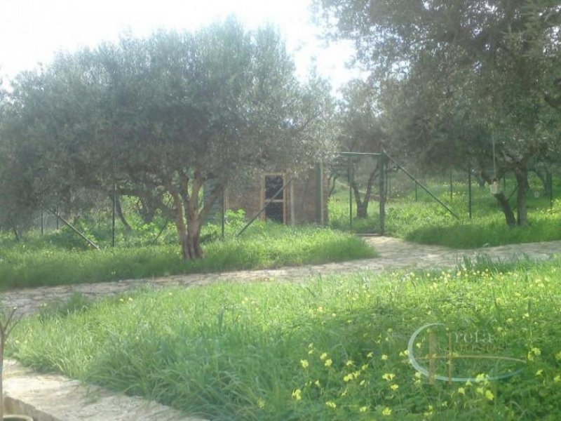 Archanes Kreta, Archanes: Haus in malerischem Dorf zu verkaufen Haus kaufen